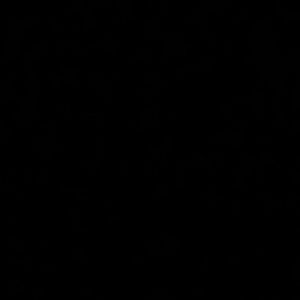 Meet your Posher, Eugene